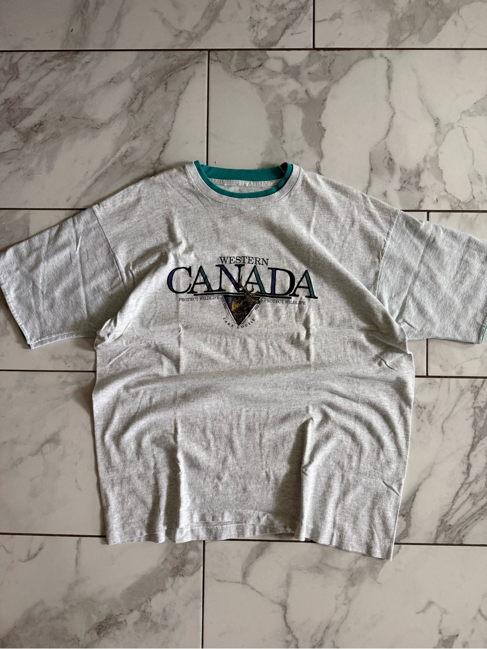 Vintage Protect Wildlife 90’s Western Canada Lake Louise Graphic Oversized Shirt